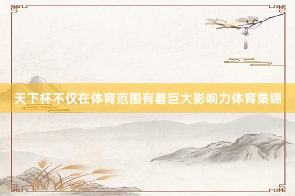 天下杯不仅在体育范围有着巨大影响力体育集锦