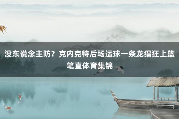 没东说念主防？克内克特后场运球一条龙猖狂上篮笔直体育集锦