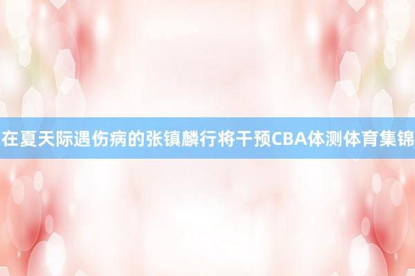 在夏天际遇伤病的张镇麟行将干预CBA体测体育集锦