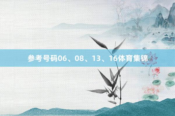 参考号码06、08、13、16体育集锦