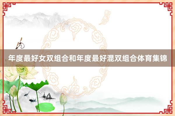 年度最好女双组合和年度最好混双组合体育集锦