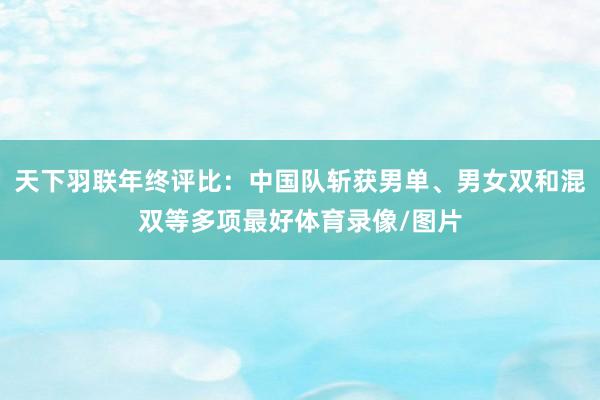 天下羽联年终评比：中国队斩获男单、男女双和混双等多项最好体育录像/图片