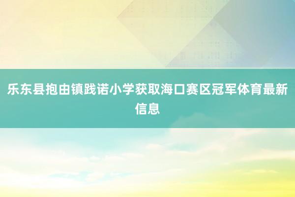 乐东县抱由镇践诺小学获取海口赛区冠军体育最新信息