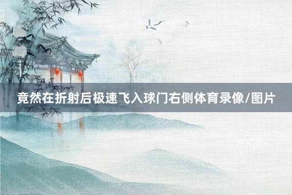 竟然在折射后极速飞入球门右侧体育录像/图片