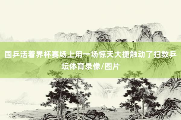 国乒活着界杯赛场上用一场惊天大捷触动了扫数乒坛体育录像/图片