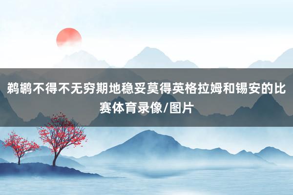 鹈鹕不得不无穷期地稳妥莫得英格拉姆和锡安的比赛体育录像/图片