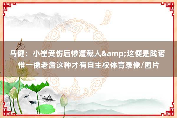 马健：小崔受伤后惨遭裁人&这便是践诺 惟一像老詹这种才有自主权体育录像/图片