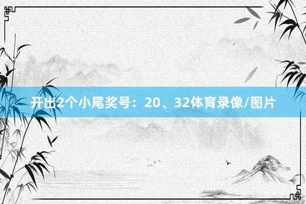 开出2个小尾奖号：20、32体育录像/图片
