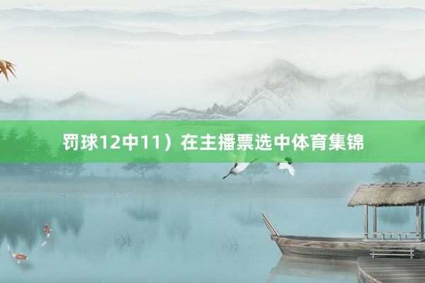 罚球12中11）在主播票选中体育集锦