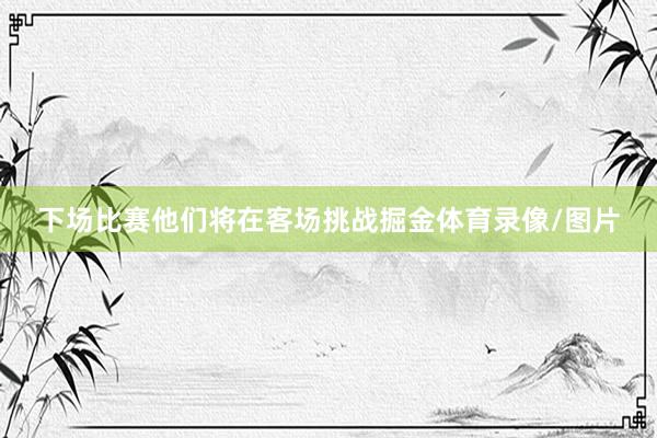 下场比赛他们将在客场挑战掘金体育录像/图片