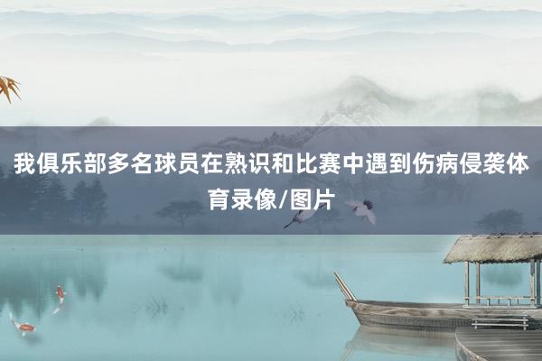 我俱乐部多名球员在熟识和比赛中遇到伤病侵袭体育录像/图片