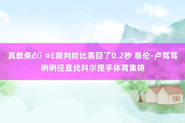 真教条🤣裁判给比赛回了0.2秒 泰伦-卢骂骂咧咧径直找科尔捏手体育集锦