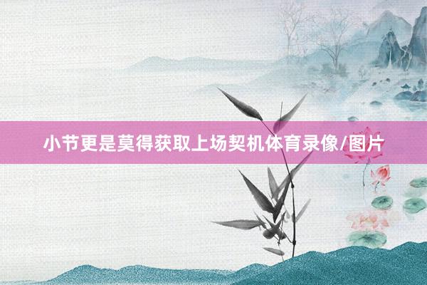 小节更是莫得获取上场契机体育录像/图片