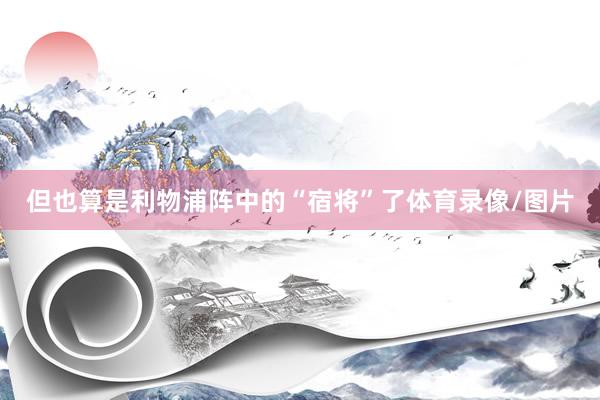 但也算是利物浦阵中的“宿将”了体育录像/图片