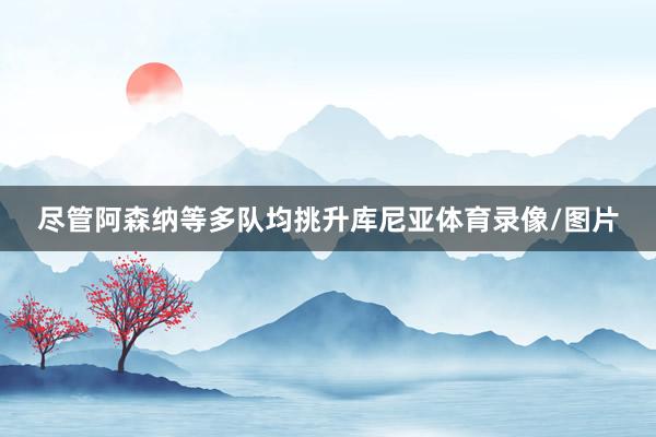 尽管阿森纳等多队均挑升库尼亚体育录像/图片