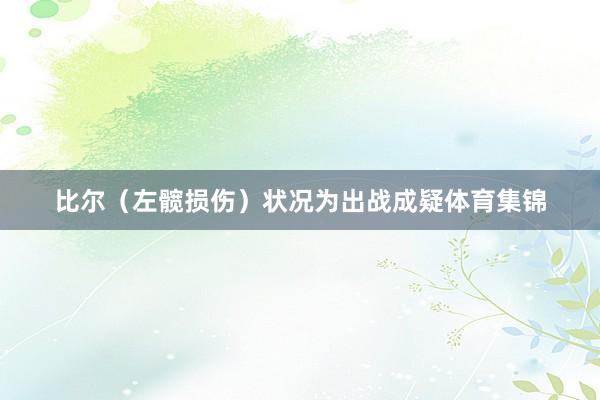 比尔（左髋损伤）状况为出战成疑体育集锦