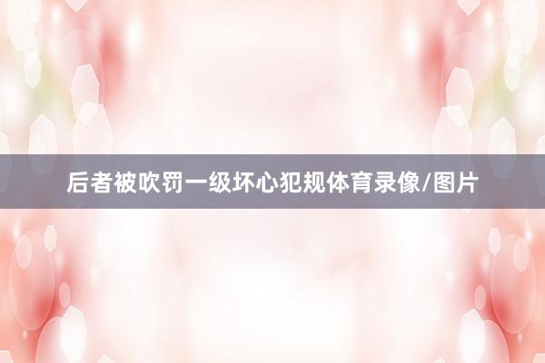 后者被吹罚一级坏心犯规体育录像/图片