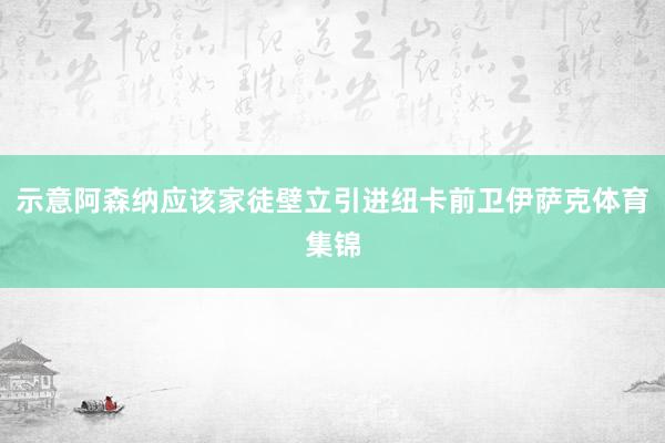 示意阿森纳应该家徒壁立引进纽卡前卫伊萨克体育集锦