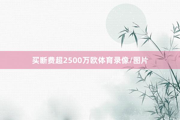 买断费超2500万欧体育录像/图片
