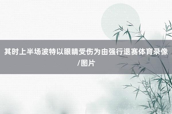 其时上半场波特以眼睛受伤为由强行退赛体育录像/图片