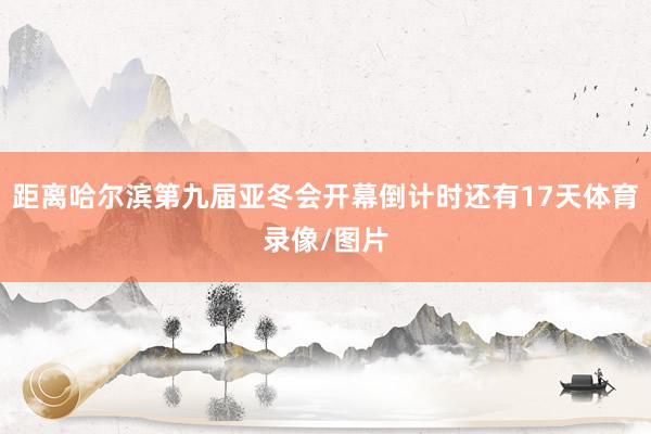 距离哈尔滨第九届亚冬会开幕倒计时还有17天体育录像/图片
