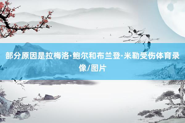 部分原因是拉梅洛·鲍尔和布兰登·米勒受伤体育录像/图片
