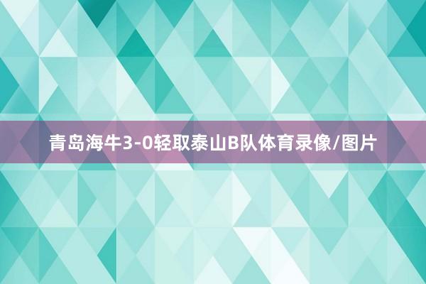 青岛海牛3-0轻取泰山B队体育录像/图片