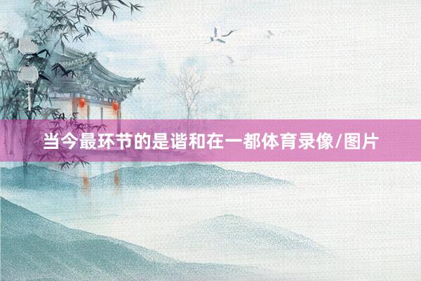 当今最环节的是谐和在一都体育录像/图片
