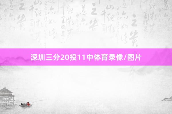 深圳三分20投11中体育录像/图片
