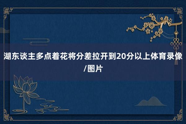 湖东谈主多点着花将分差拉开到20分以上体育录像/图片