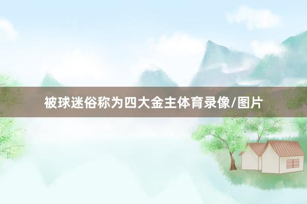 被球迷俗称为四大金主体育录像/图片