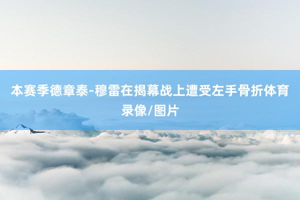 本赛季德章泰-穆雷在揭幕战上遭受左手骨折体育录像/图片