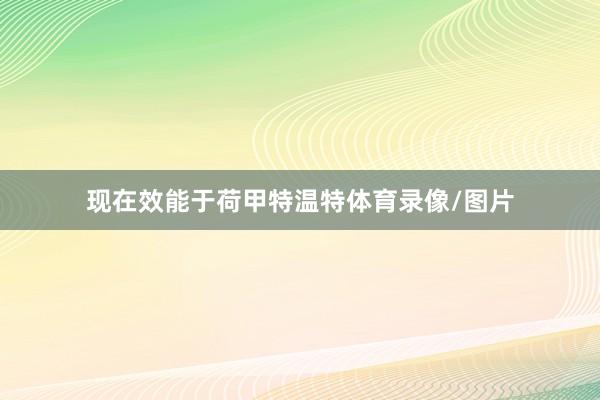现在效能于荷甲特温特体育录像/图片