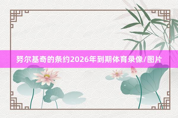 努尔基奇的条约2026年到期体育录像/图片