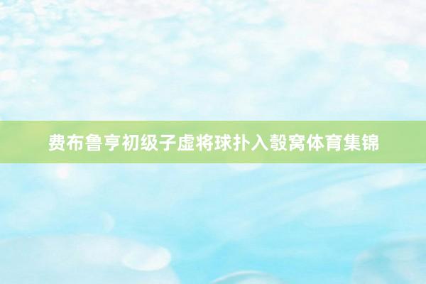 费布鲁亨初级子虚将球扑入彀窝体育集锦
