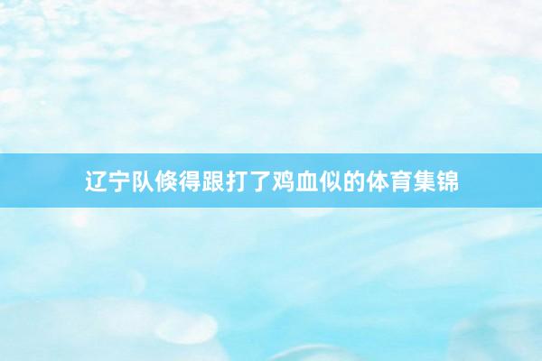 辽宁队倏得跟打了鸡血似的体育集锦