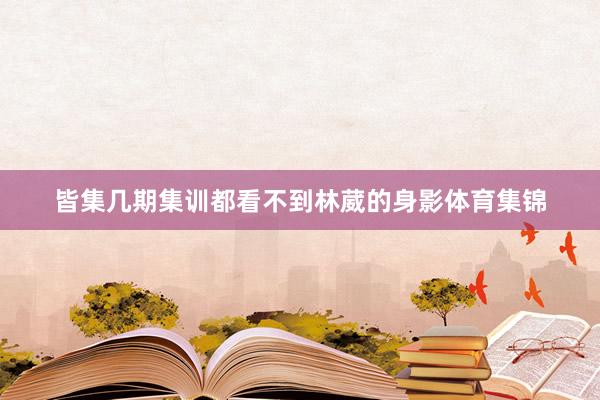 皆集几期集训都看不到林葳的身影体育集锦