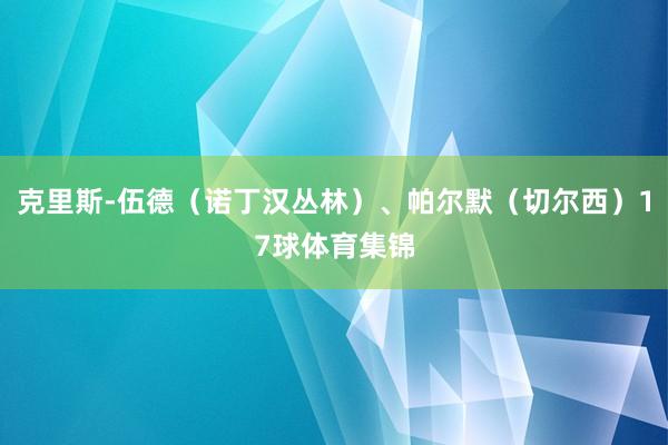 克里斯-伍德（诺丁汉丛林）、帕尔默（切尔西）17球体育集锦