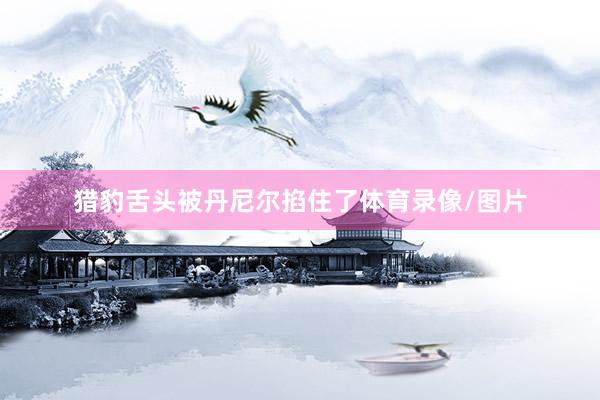 猎豹舌头被丹尼尔掐住了体育录像/图片