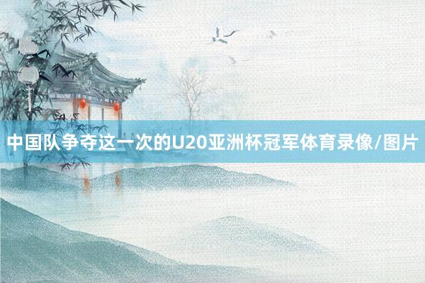 中国队争夺这一次的U20亚洲杯冠军体育录像/图片