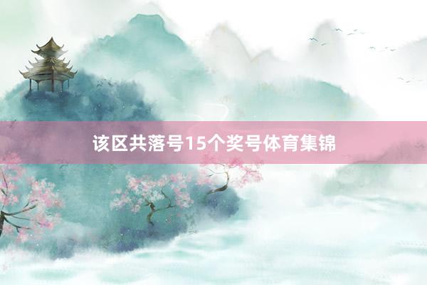 该区共落号15个奖号体育集锦