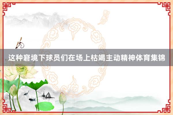 这种窘境下球员们在场上枯竭主动精神体育集锦