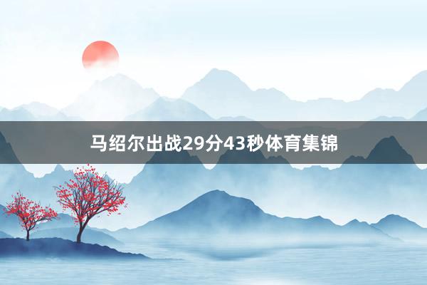 马绍尔出战29分43秒体育集锦