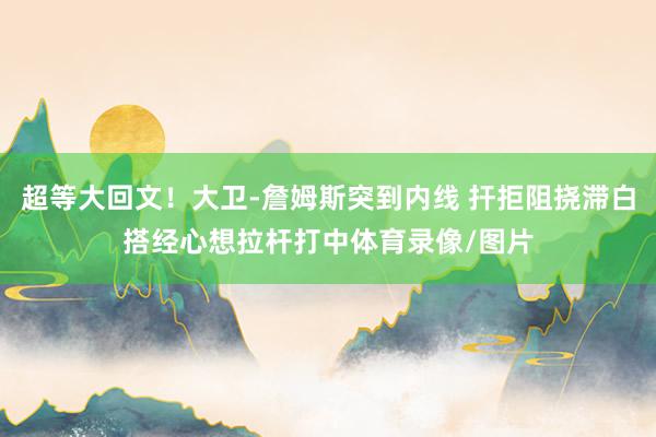 超等大回文！大卫-詹姆斯突到内线 扞拒阻挠滞白搭经心想拉杆打中体育录像/图片