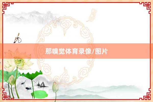 那嗅觉体育录像/图片