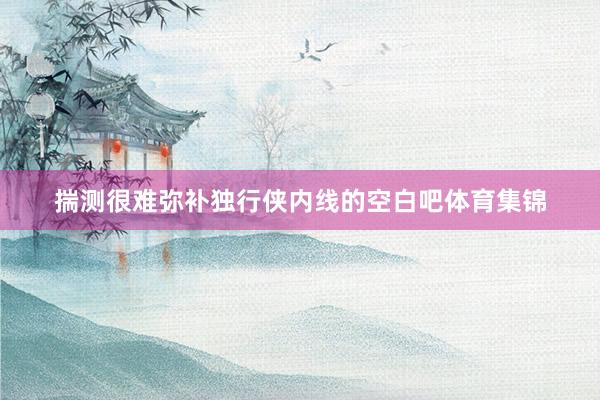 揣测很难弥补独行侠内线的空白吧体育集锦