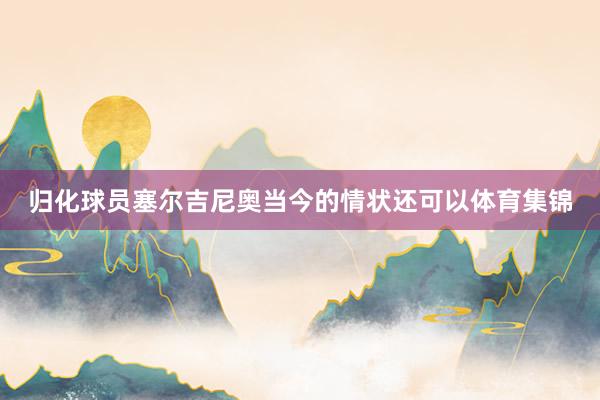归化球员塞尔吉尼奥当今的情状还可以体育集锦