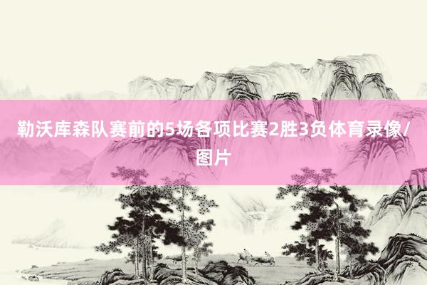 勒沃库森队赛前的5场各项比赛2胜3负体育录像/图片