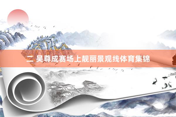 二 吴尊成赛场上靓丽景观线体育集锦