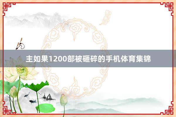 主如果1200部被砸碎的手机体育集锦